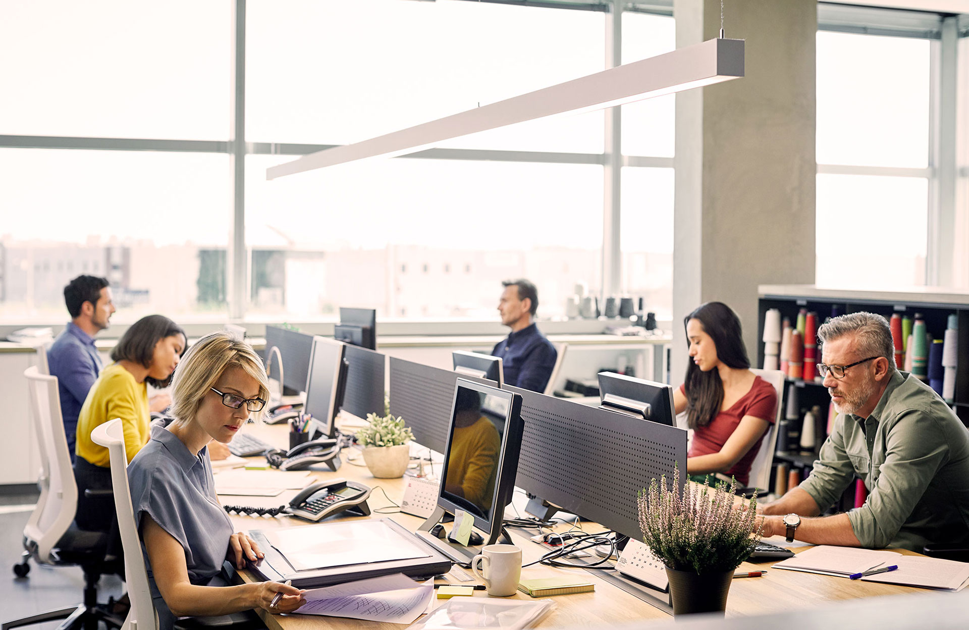 hardly-company-succeed-without-citizen-development-2000x1300